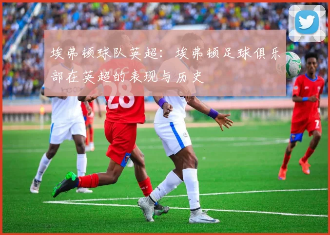 埃弗顿球队英超：埃弗顿足球俱乐部在英超的表现与历史