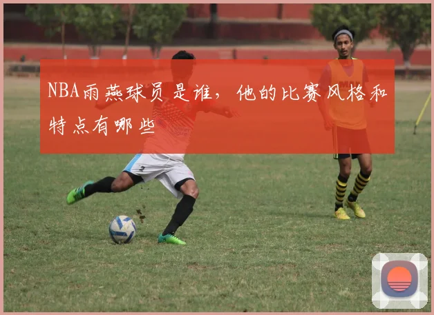 NBA雨燕球员是谁，他的比赛风格和特点有哪些